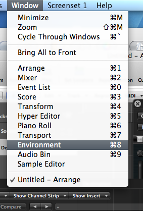 Step 05 - Open the Environment window